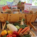 Tag der Gesundheit im Bfw Sachsen-Anhalt