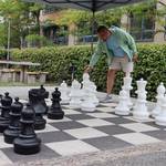 Schachspieler
