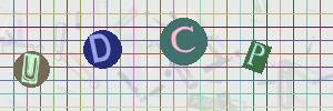 Captcha-Code - Es besteht die Möglichkeit, sich den Captcha-Code vorlesen zu lassen, klicken sie dazu auf den Button mit dem Titel 'Liest den Captcha-Code vor(Audioausgabe)'